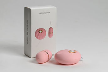 Imagen de Toys Huevo Vibrador con Control