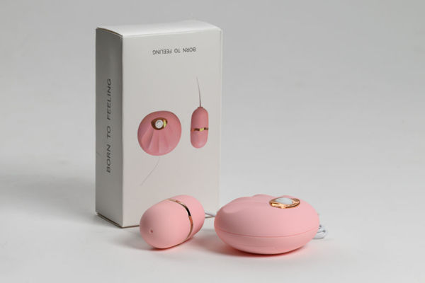 Imagen de Toys Huevo Vibrador con Control